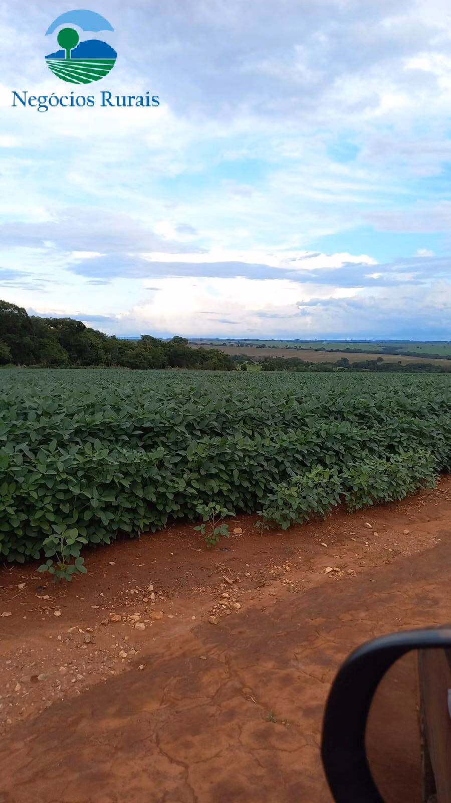 Fazenda de 242 ha em Goiânia, GO