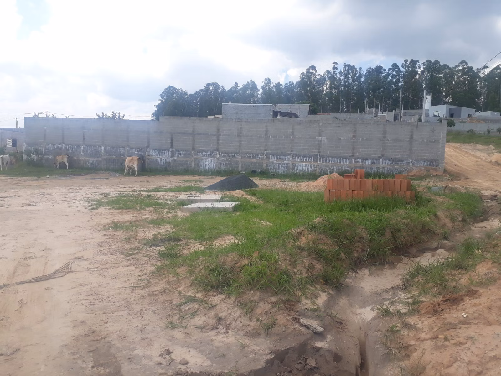 Terreno de 500 m² em Campinas, SP