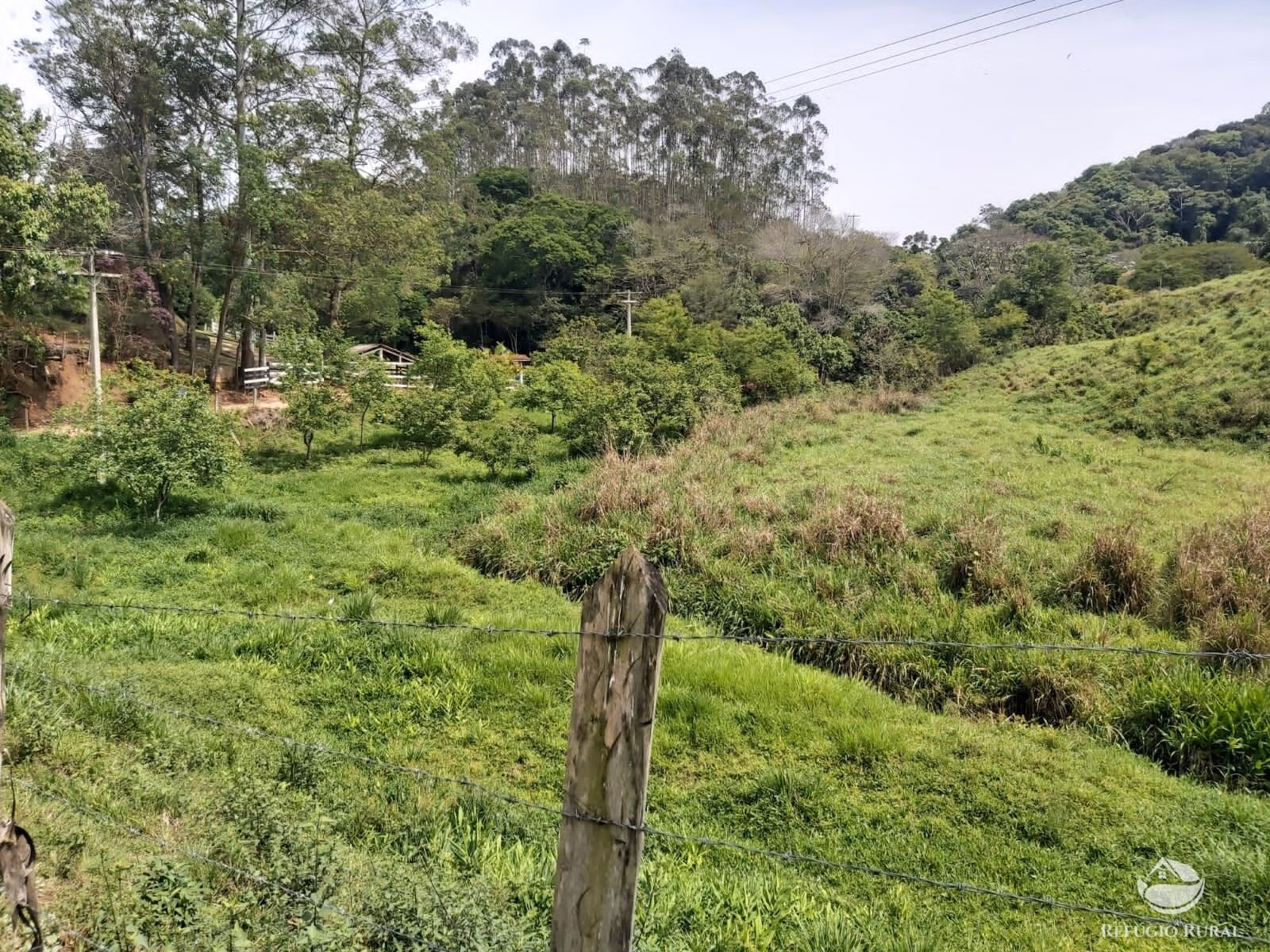 Sítio de 36 ha em Igaratá, SP