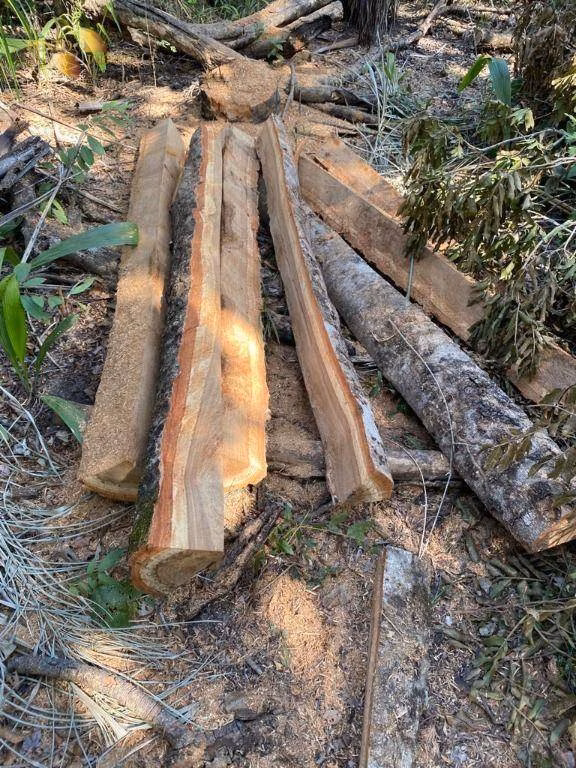Farm of 10.188 acres in Cuiabá, MT, Brazil