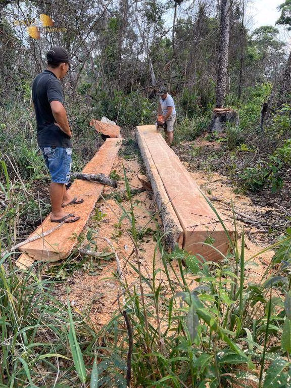 Fazenda de 4.123 ha em Cuiabá, MT