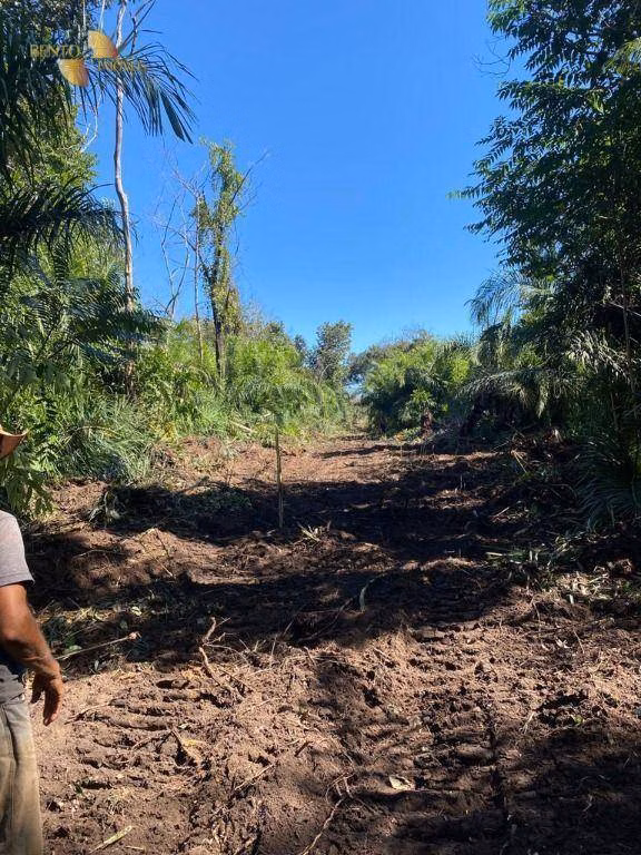 Fazenda de 4.123 ha em Cuiabá, MT