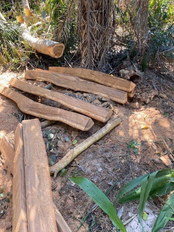 Fazenda de 4.123 ha em Cuiabá, MT