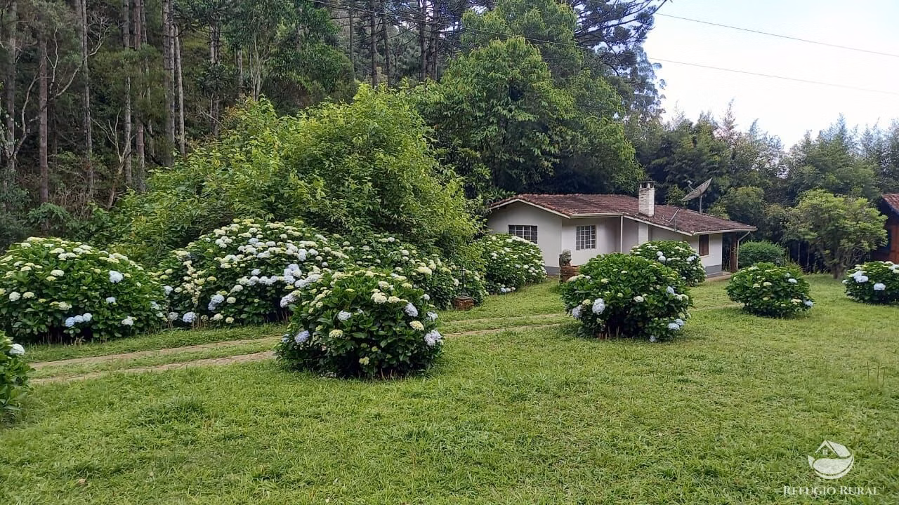 Sítio de 4 ha em Sapucaí-Mirim, MG