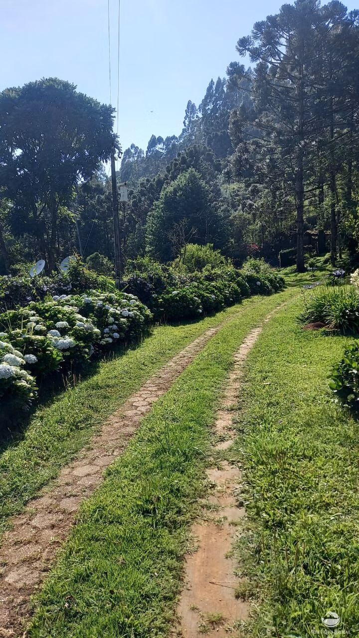 Sítio de 4 ha em Sapucaí-Mirim, MG