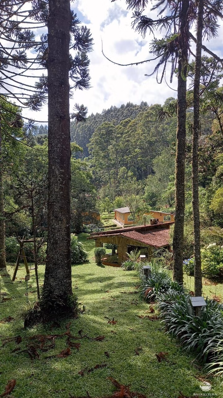 Sítio de 4 ha em Sapucaí-Mirim, MG