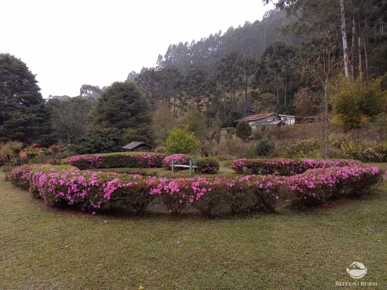Sítio de 4 ha em Sapucaí-Mirim, MG