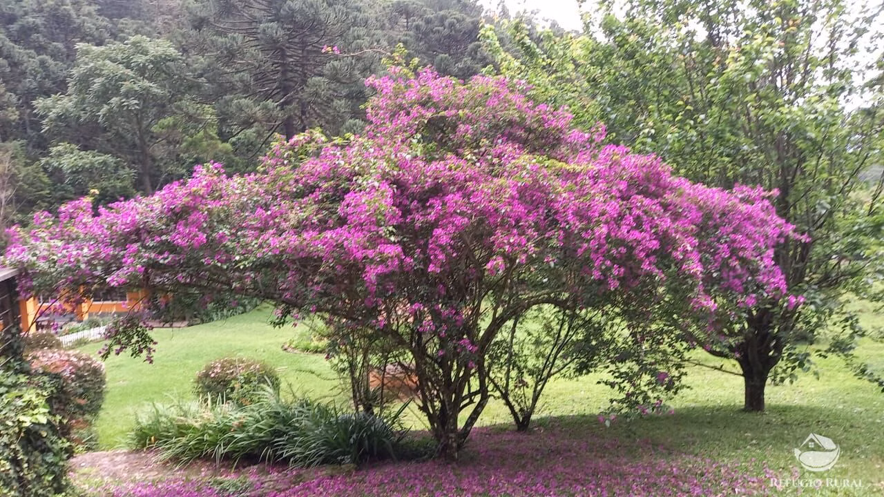 Sítio de 4 ha em Sapucaí-Mirim, MG