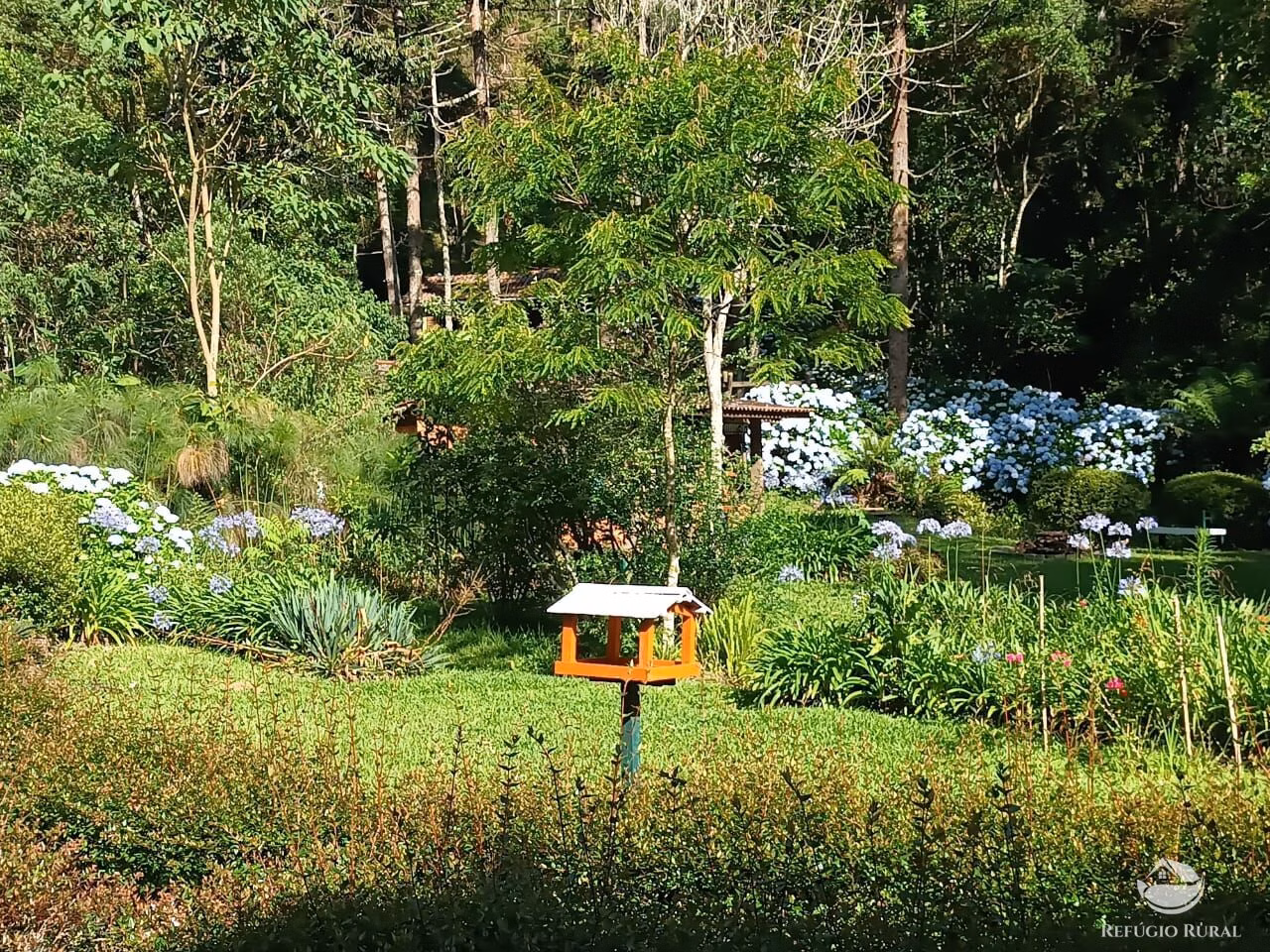 Sítio de 4 ha em Sapucaí-Mirim, MG