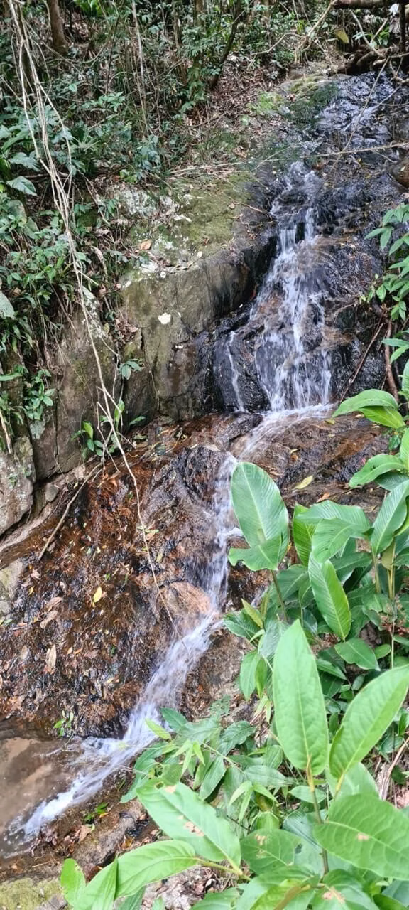 Fazenda de 13 ha em Canelinha, SC