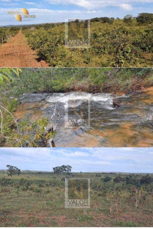 Fazenda de 8.624 ha em Primavera do Leste, MT