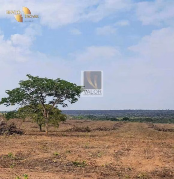 Fazenda de 8.624 ha em Primavera do Leste, MT