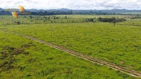 Farm of 25,205 acres in Santana do Araguaia, PA, Brazil