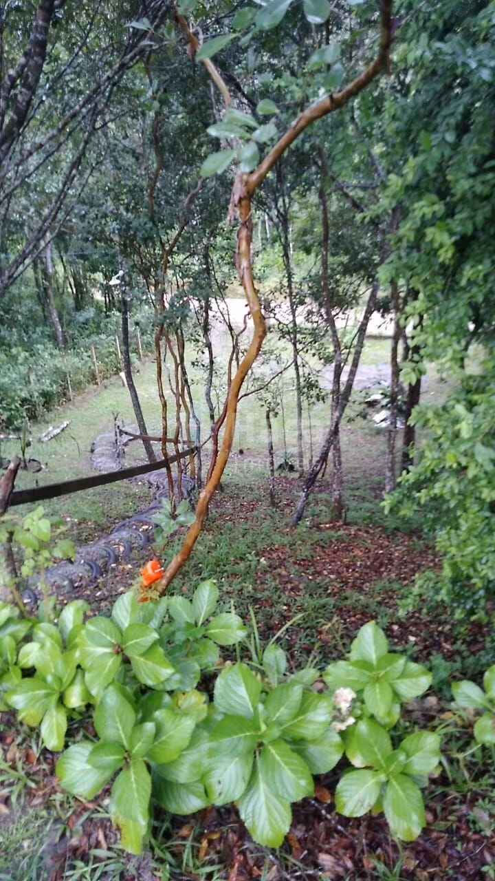 Farm of 754 m² in Itajaí, SC, Brazil