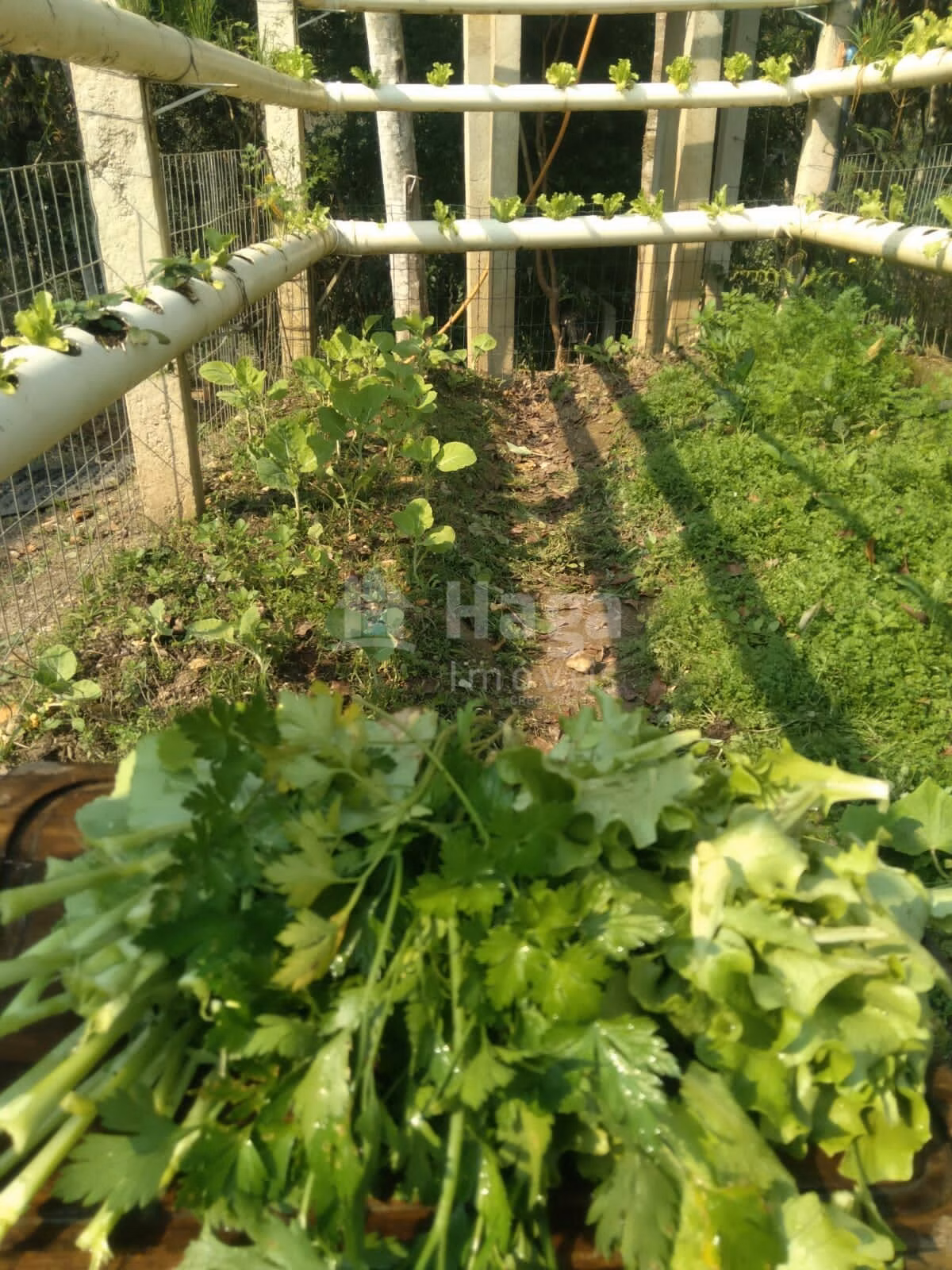 Farm of 754 m² in Itajaí, SC, Brazil