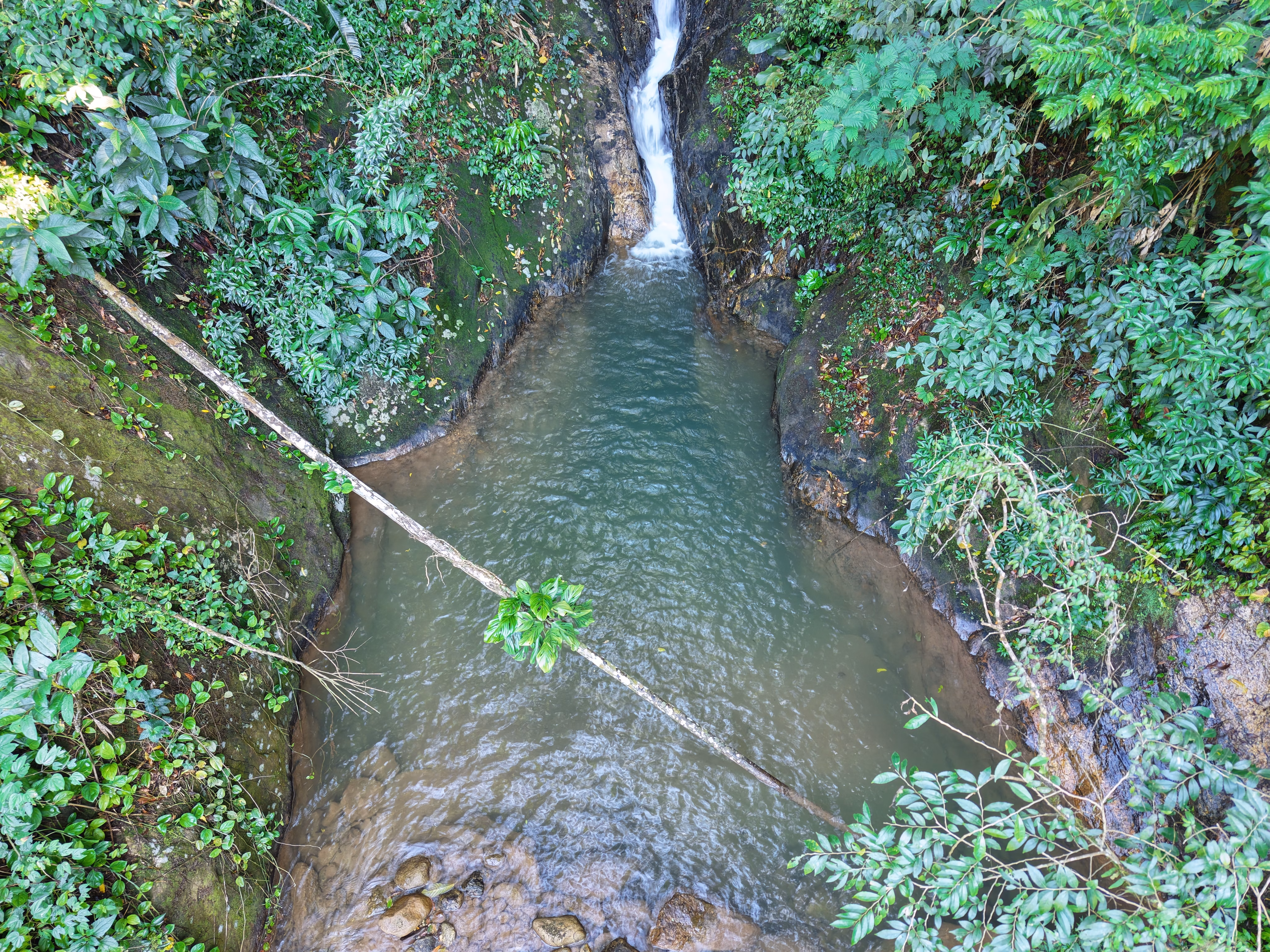 Small farm of 34 acres in Nova Friburgo, RJ, Brazil