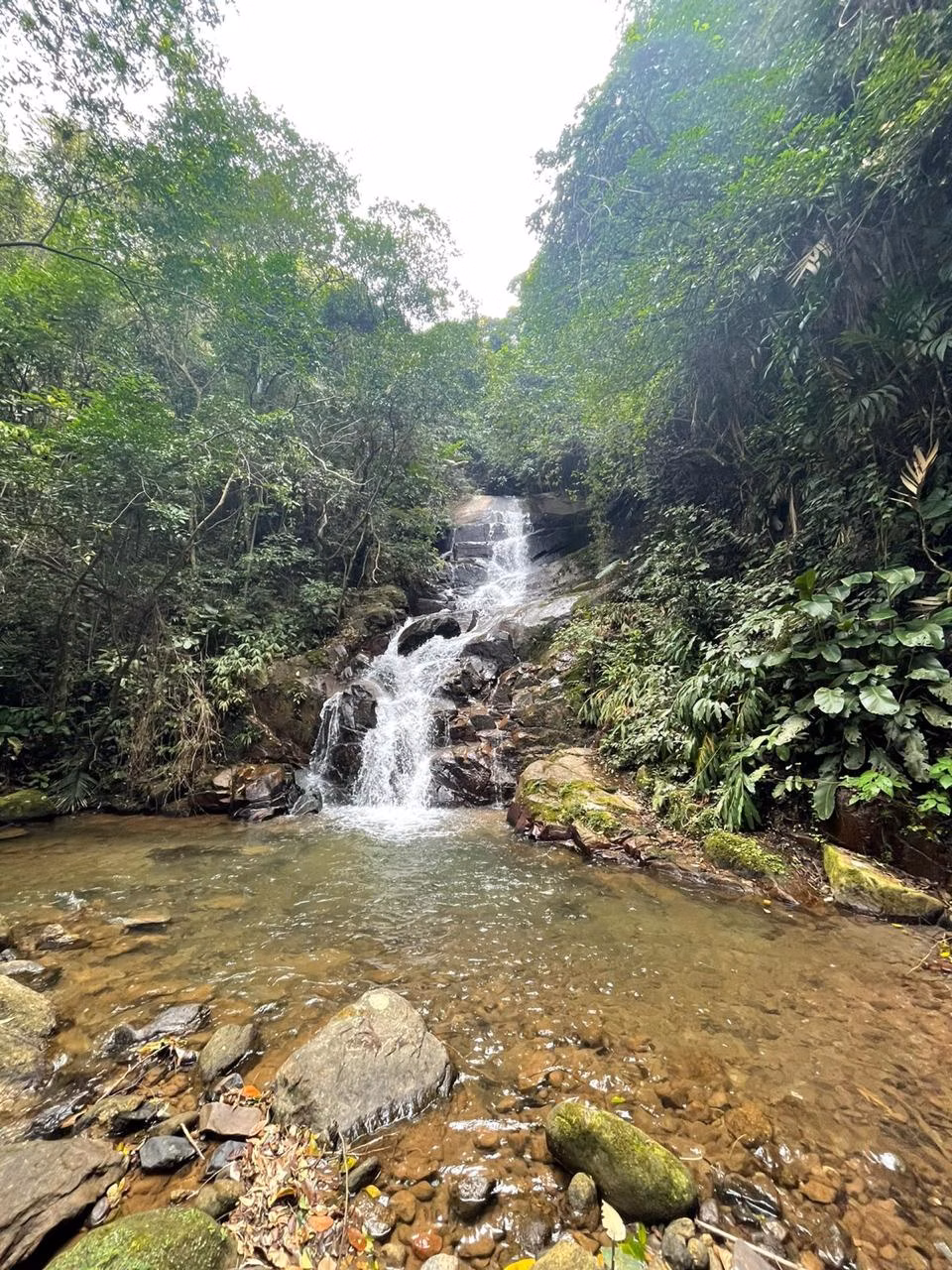 Small farm of 34 acres in Nova Friburgo, RJ, Brazil