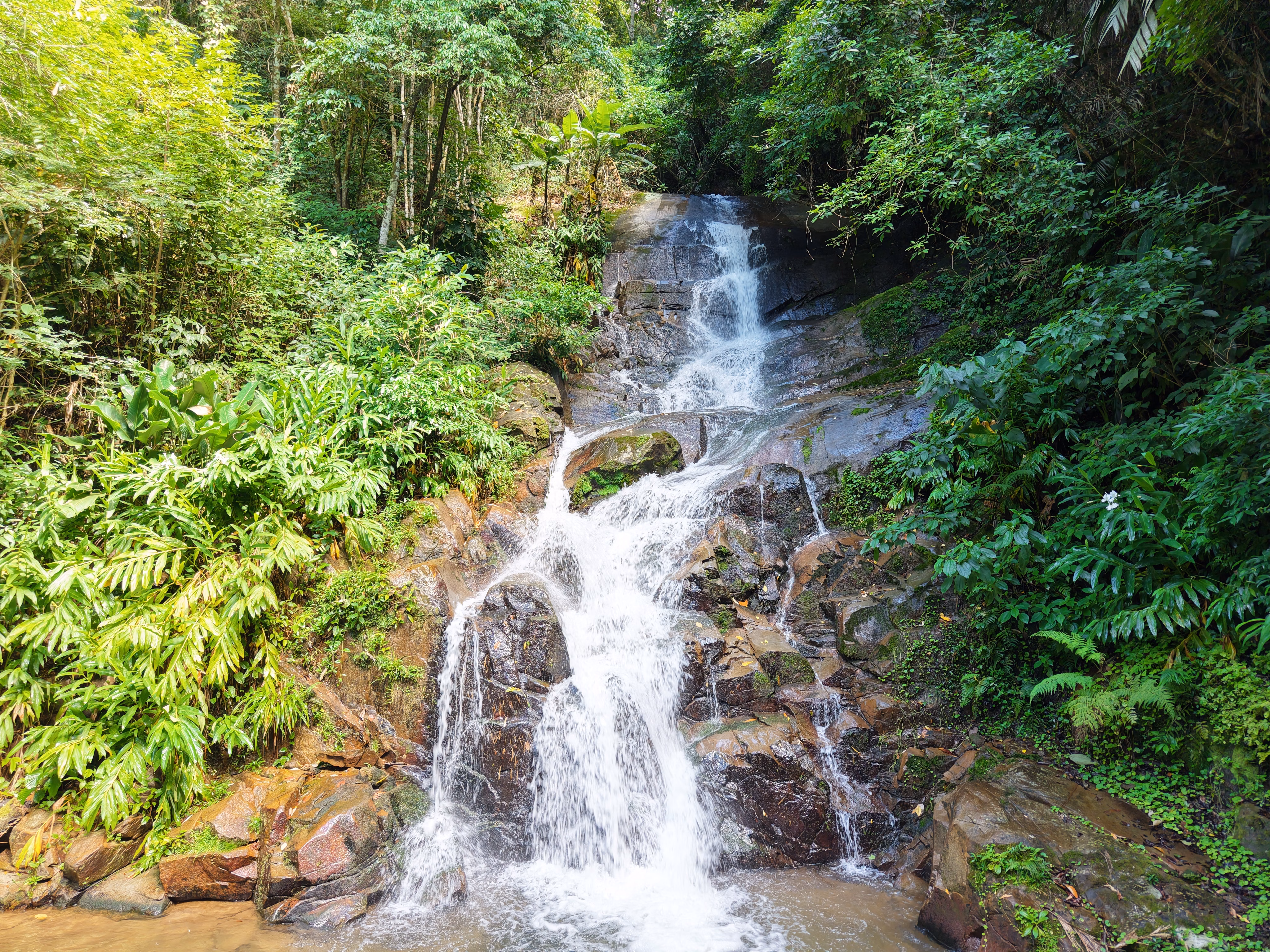 Small farm of 34 acres in Nova Friburgo, RJ, Brazil