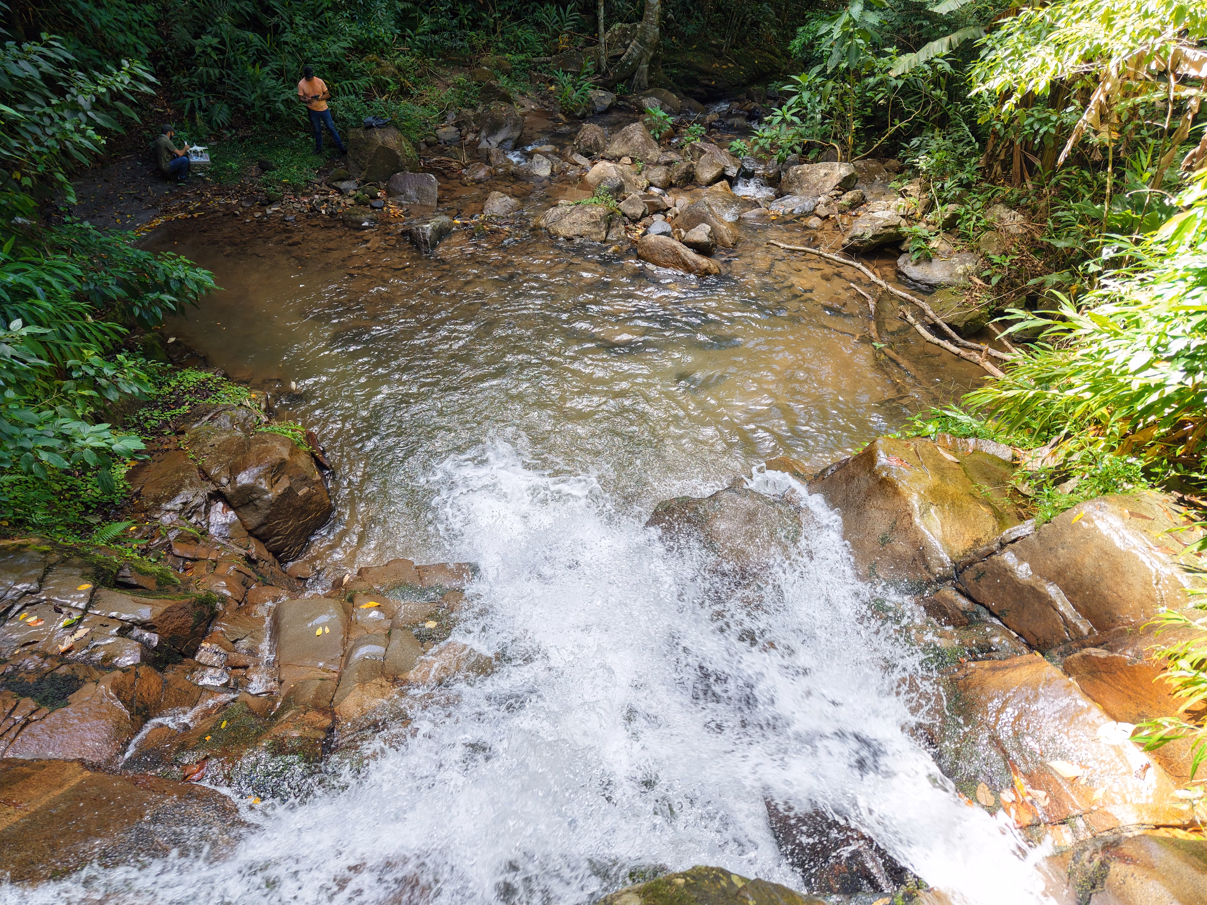 Small farm of 34 acres in Nova Friburgo, RJ, Brazil