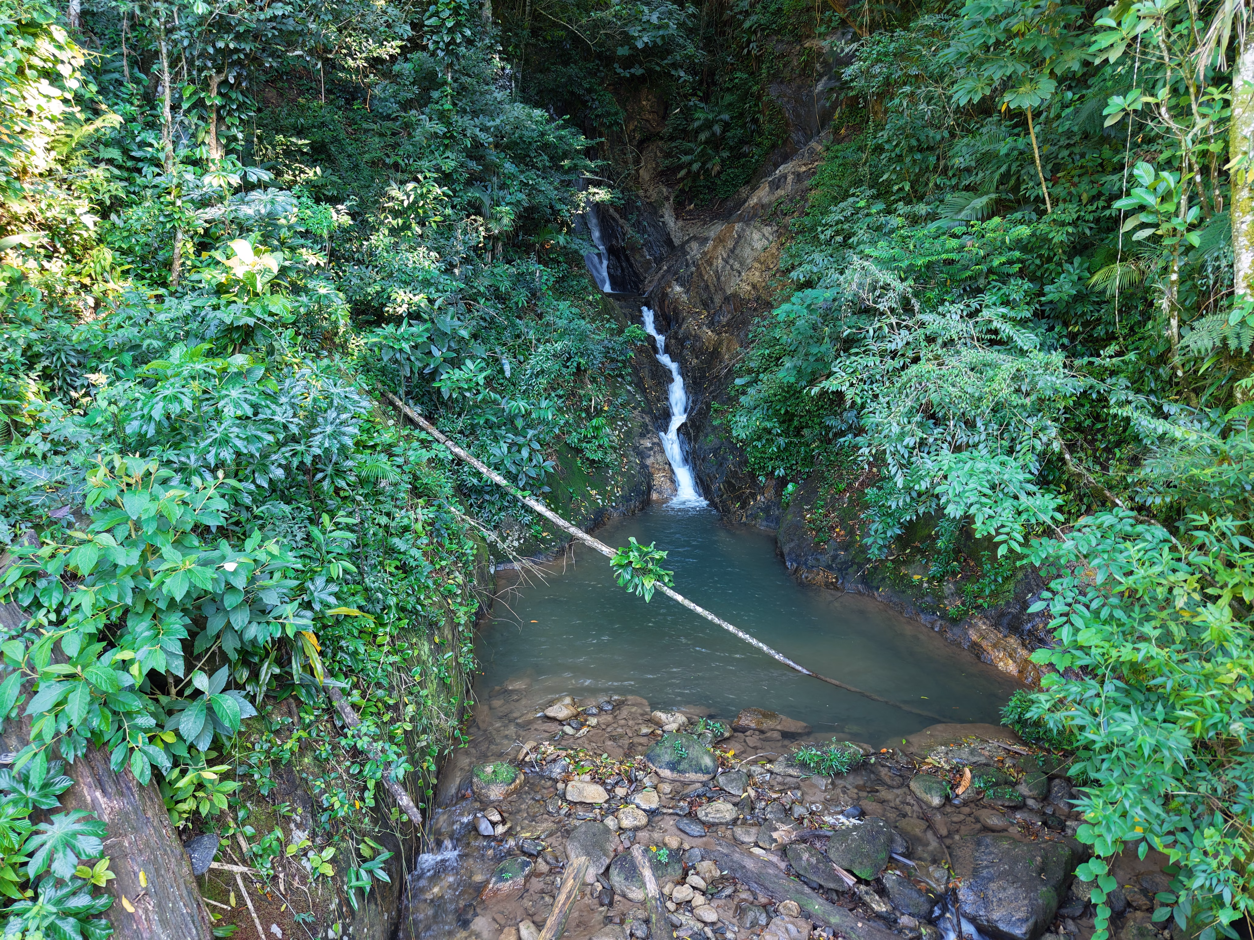 Small farm of 34 acres in Nova Friburgo, RJ, Brazil