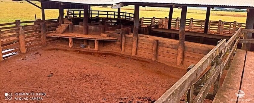 Fazenda de 10.000 ha em Brasnorte, MT