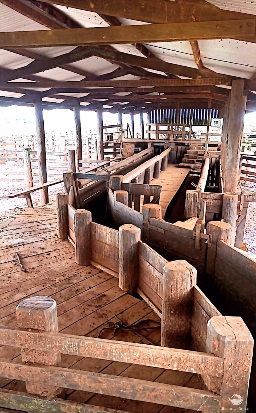 Fazenda de 10.000 ha em Brasnorte, MT