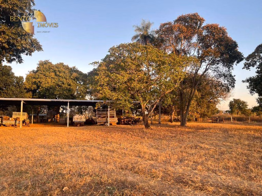 Fazenda de 15.440 ha em Ribeirão Cascalheira, MT