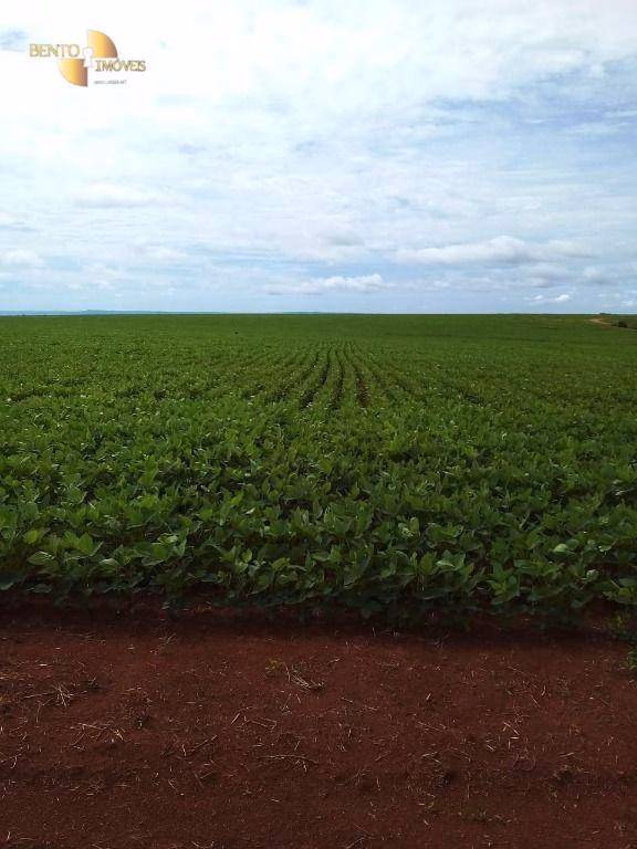 Fazenda de 800 ha em Nobres, MT