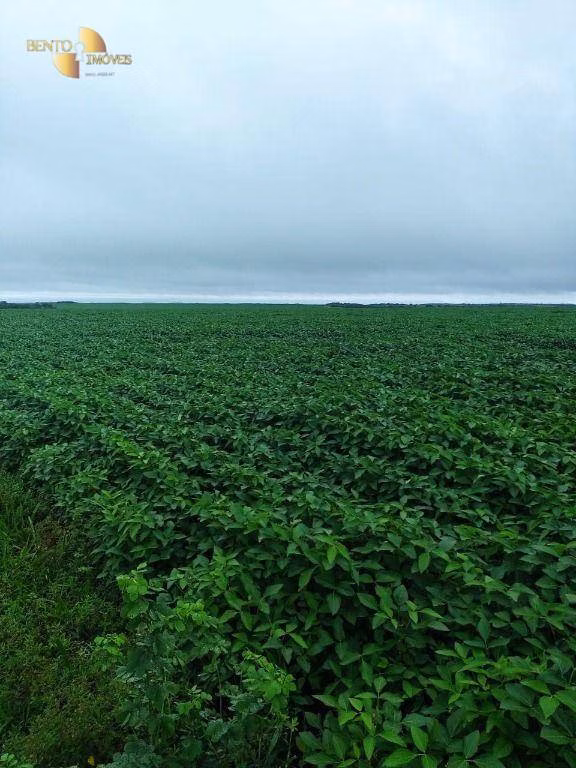 Fazenda de 800 ha em Nobres, MT