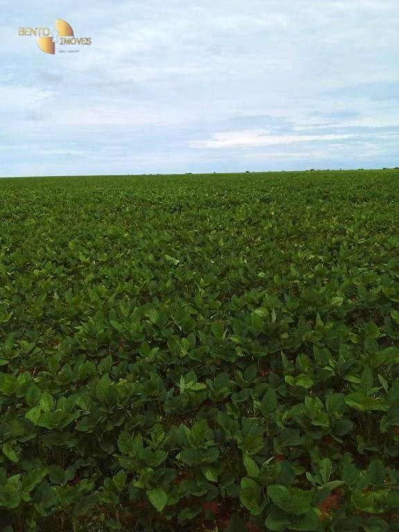 Fazenda de 800 ha em Nobres, MT