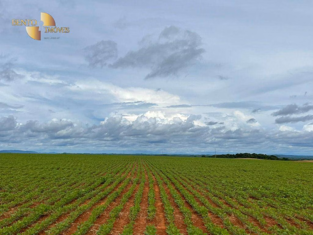 Fazenda de 800 ha em Nobres, MT