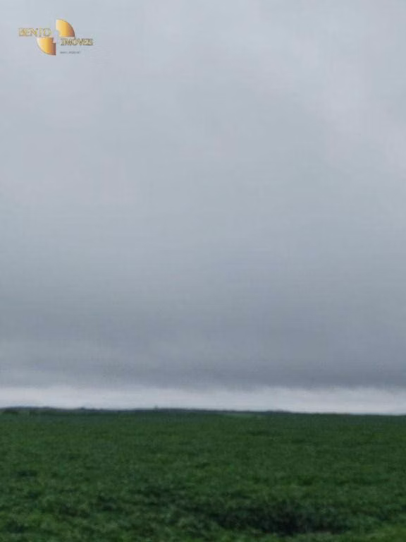 Fazenda de 800 ha em Nobres, MT