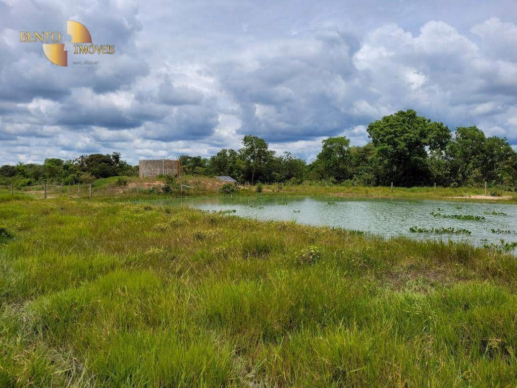 Fazenda de 6.135 ha em Rondonópolis, MT