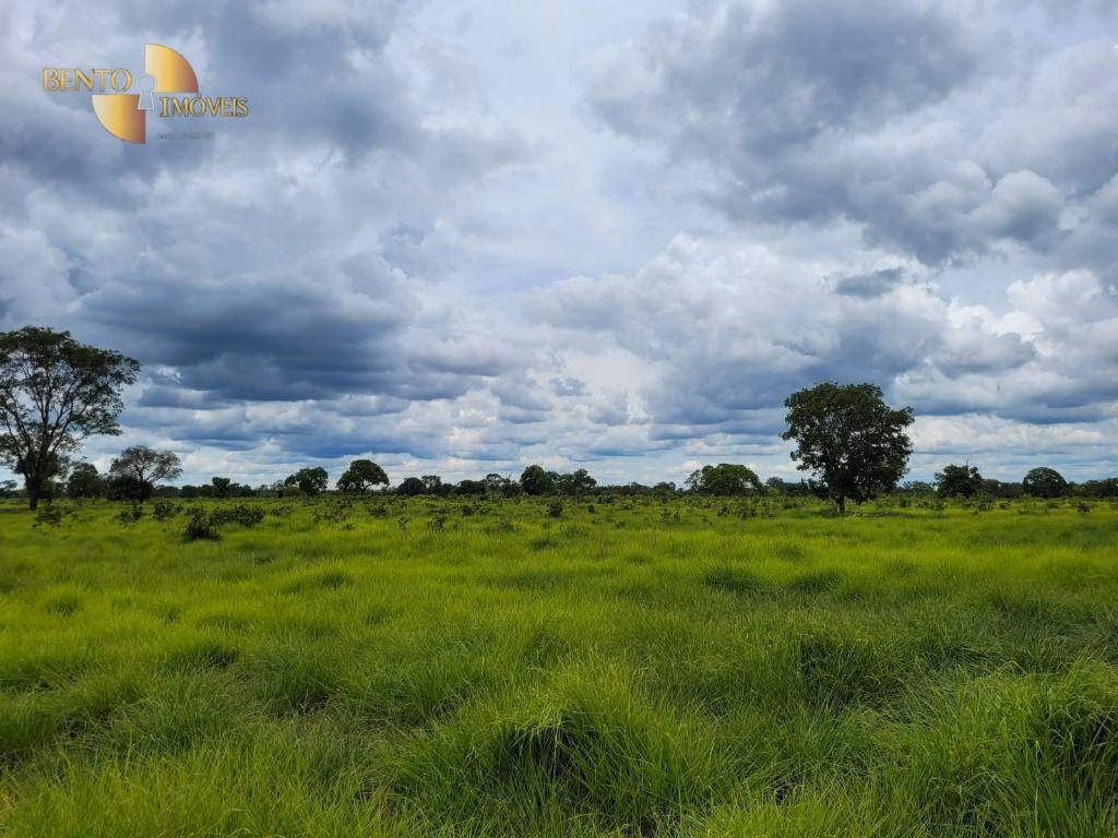 Fazenda de 6.135 ha em Rondonópolis, MT