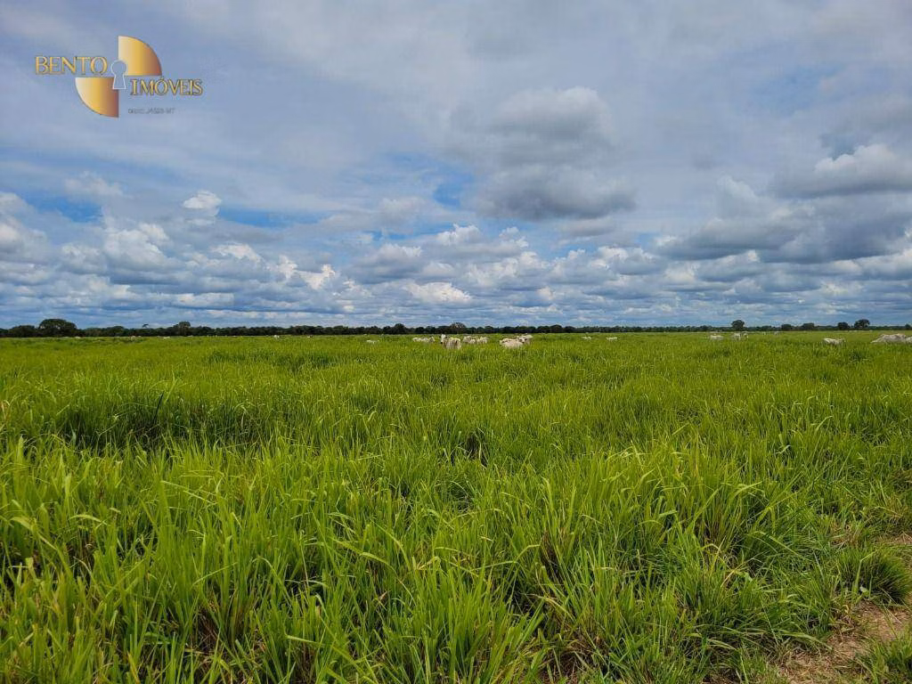 Fazenda de 6.135 ha em Rondonópolis, MT