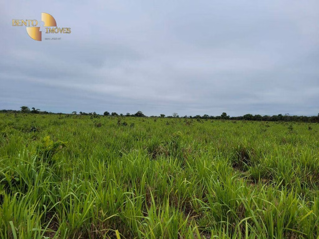 Fazenda de 6.135 ha em Rondonópolis, MT