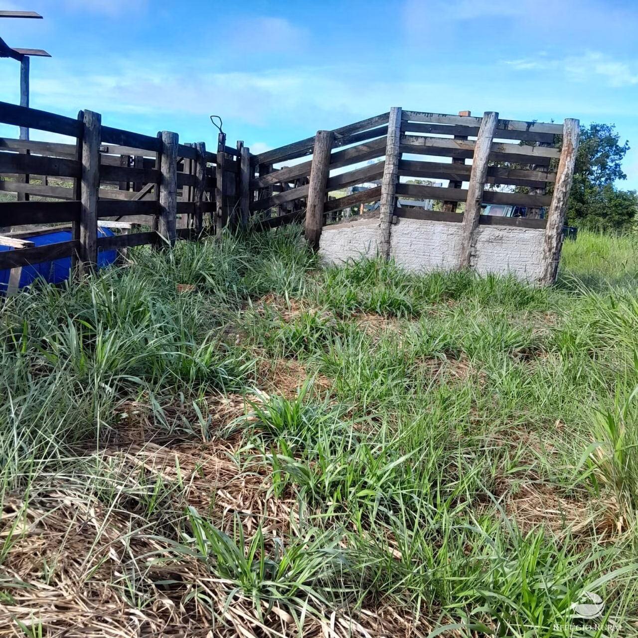 Fazenda de 1.003 ha em Camapuã, MS