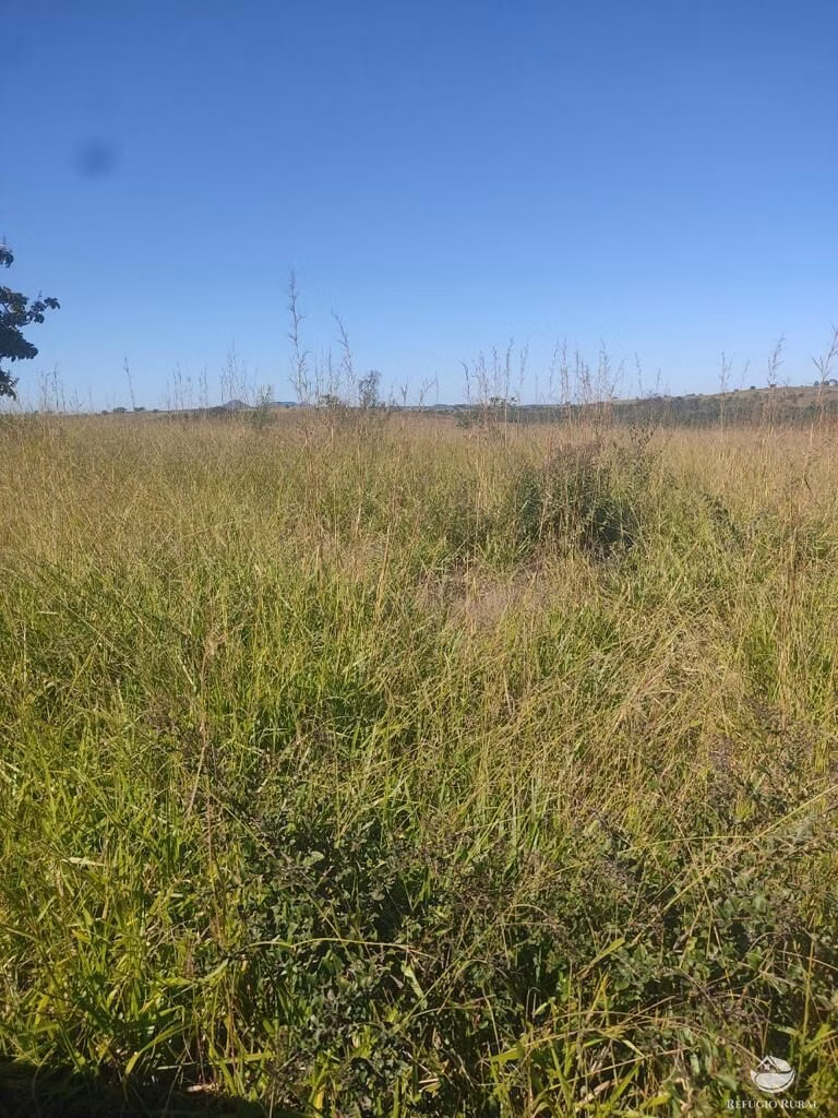 Fazenda de 1.003 ha em Camapuã, MS