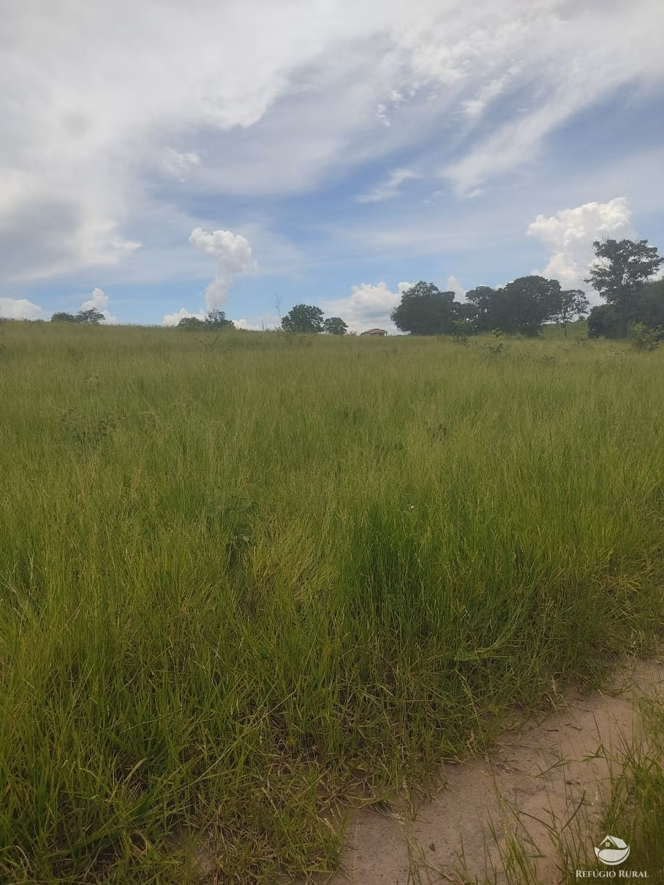 Fazenda de 1.003 ha em Camapuã, MS