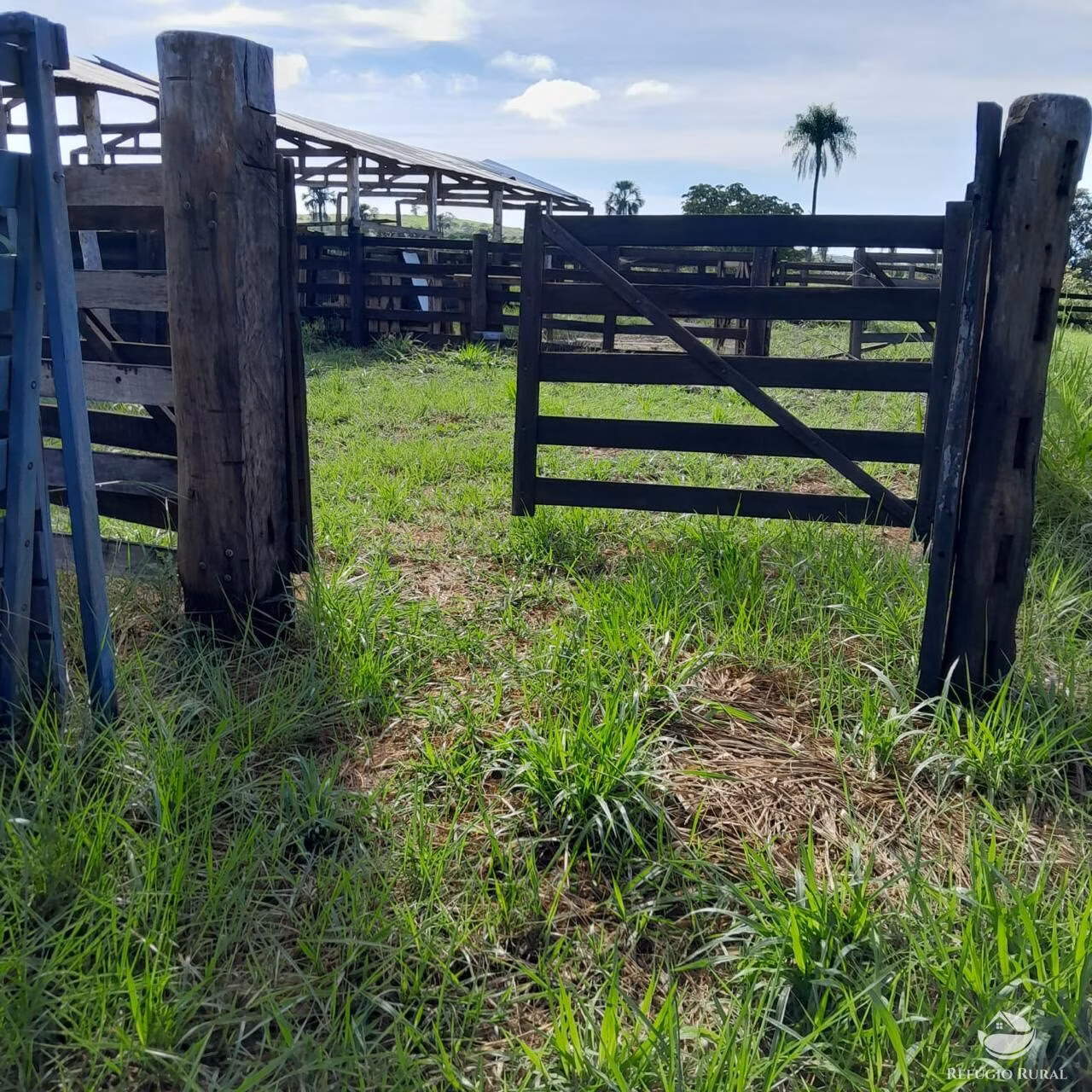 Fazenda de 1.003 ha em Camapuã, MS