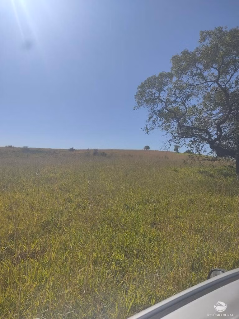 Fazenda de 1.003 ha em Camapuã, MS
