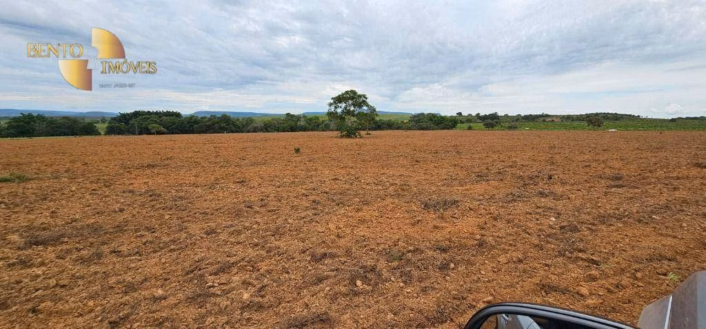 Fazenda de 239 ha em São Pedro da Cipa, MT