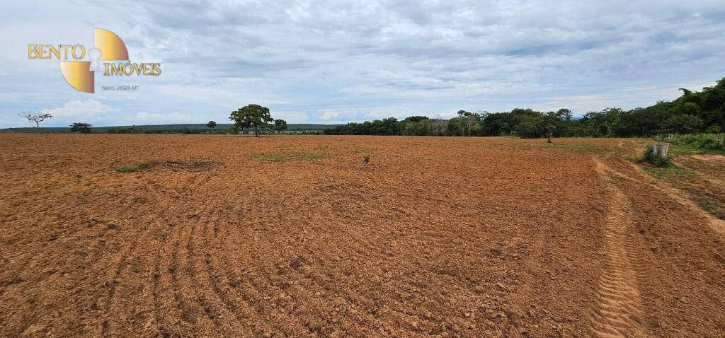 Fazenda de 239 ha em São Pedro da Cipa, MT