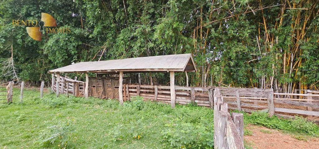 Fazenda de 239 ha em São Pedro da Cipa, MT