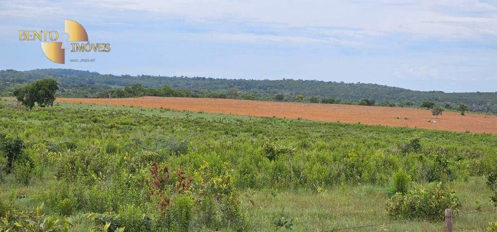Fazenda de 239 ha em São Pedro da Cipa, MT