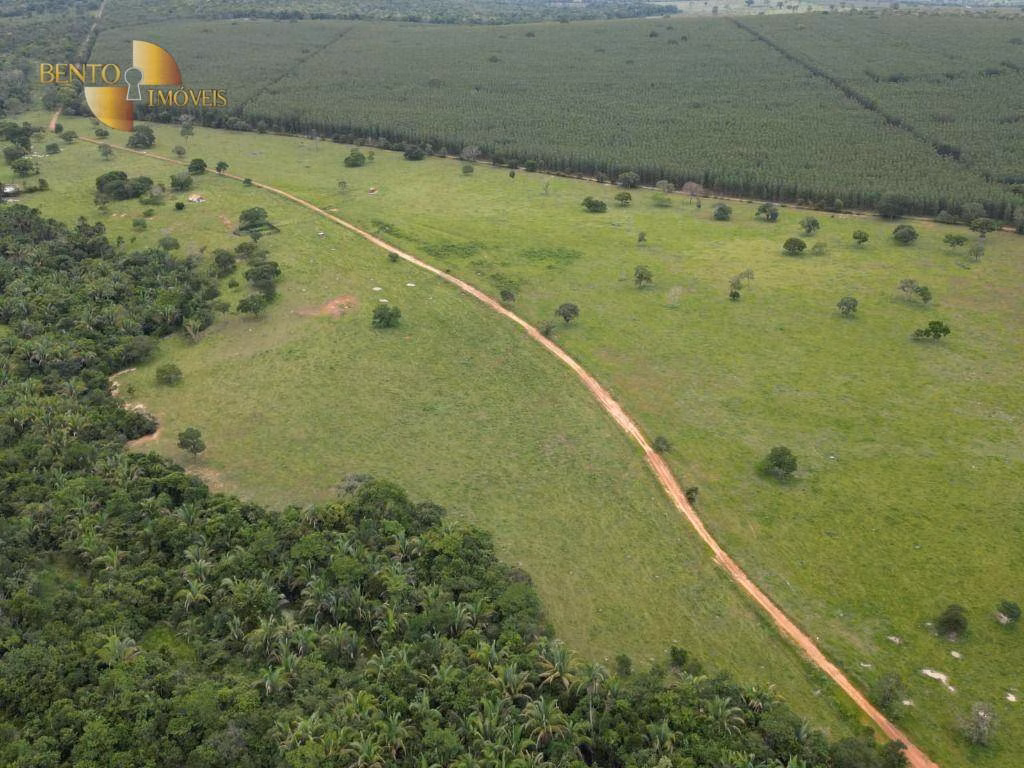 Fazenda de 239 ha em São Pedro da Cipa, MT