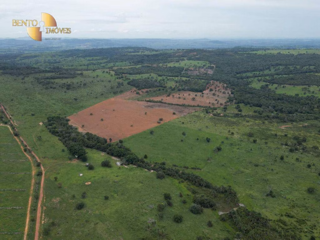 Fazenda de 239 ha em São Pedro da Cipa, MT