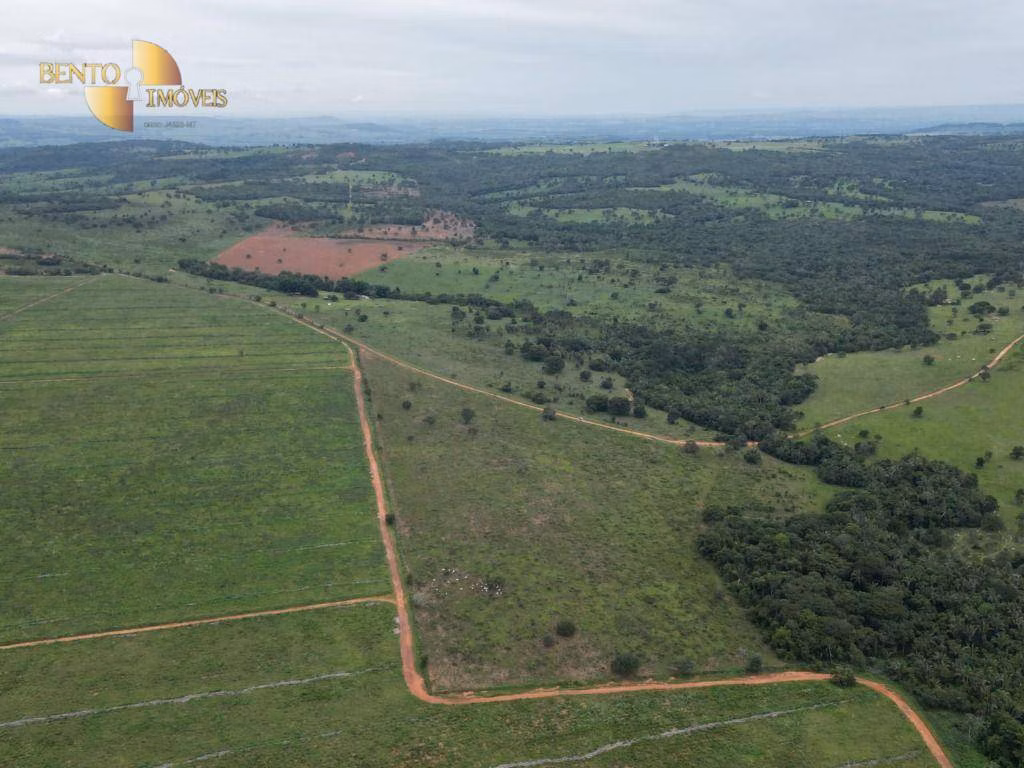 Fazenda de 239 ha em São Pedro da Cipa, MT