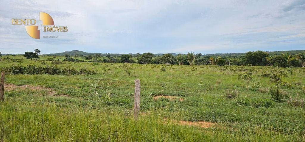 Fazenda de 239 ha em São Pedro da Cipa, MT