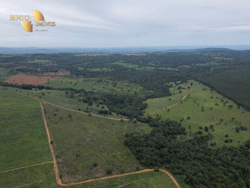 Fazenda de 239 ha em São Pedro da Cipa, MT